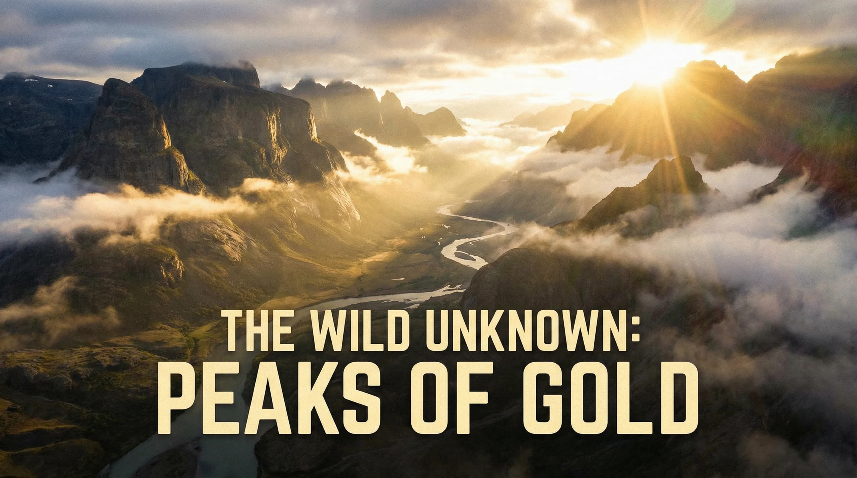 17c一起草自然纪录片